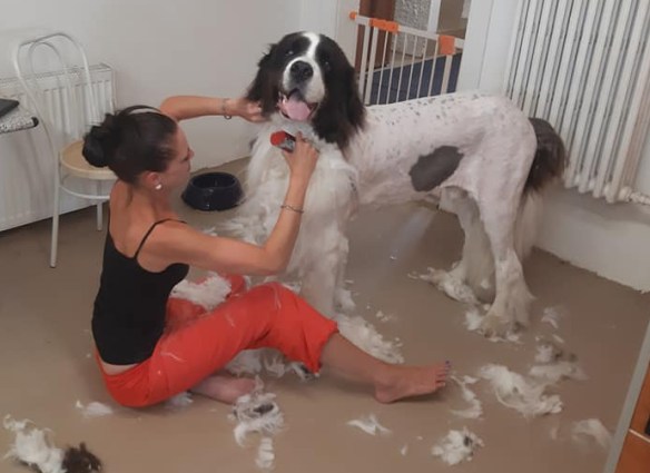 94212296_4410432808985737_7462813638840025088_n