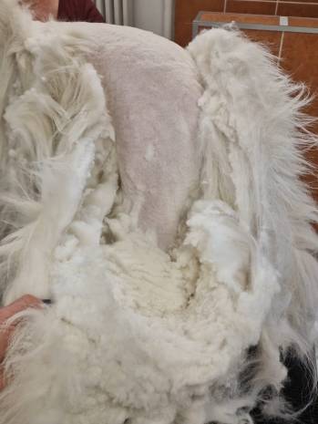 343597741_919487555959751_9204164558141509967_n