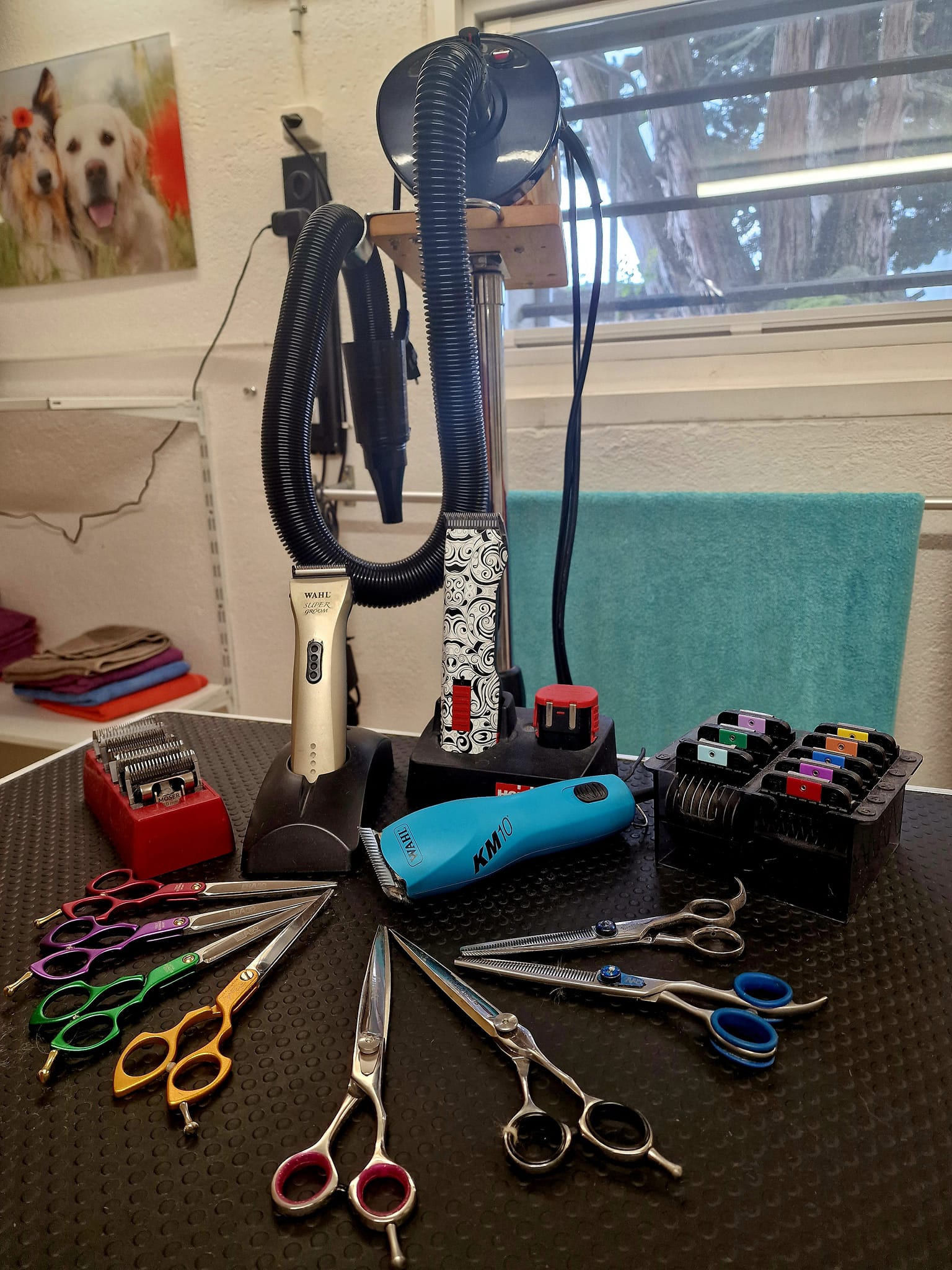 343644599_1654387561686623_5190363930379435275_n