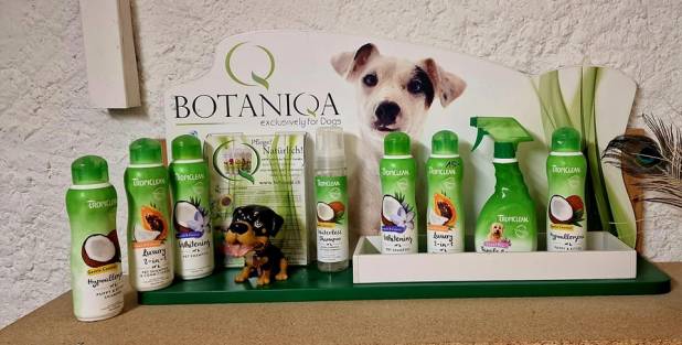 343947485_932590491285973_8051083834725500360_n