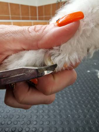 344445928_1350048888893387_2088408958227549641_n