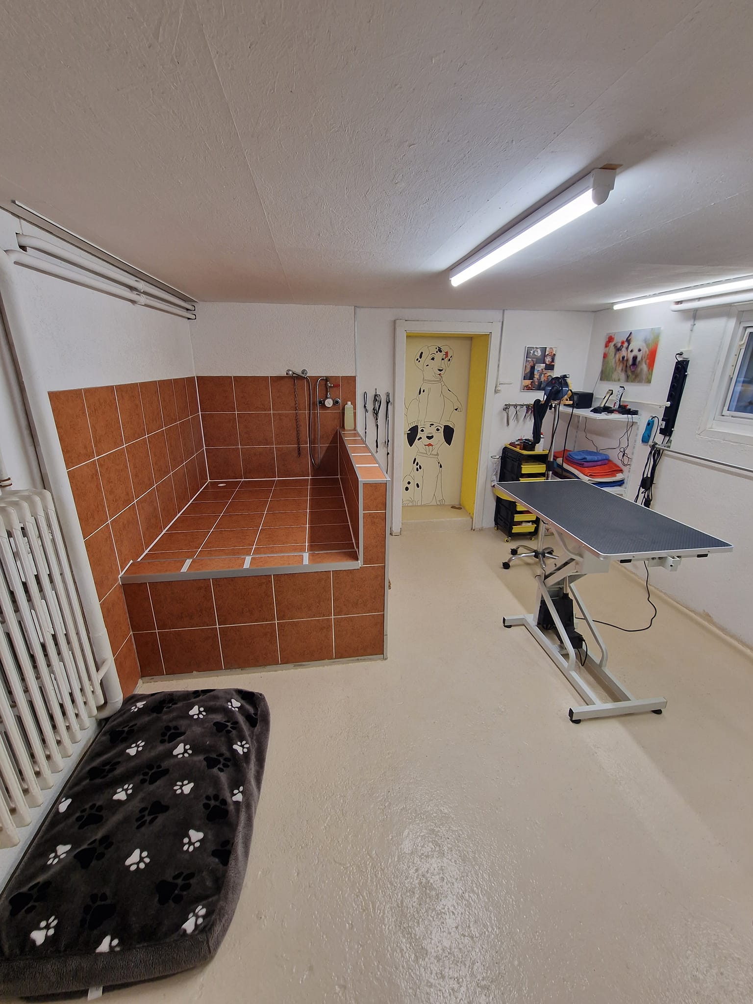 347565142_754059976262241_3796703306878027950_n