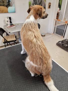 355145307_767984308455186_6581262071075932365_n